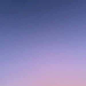 Meet your Posher, Mireya